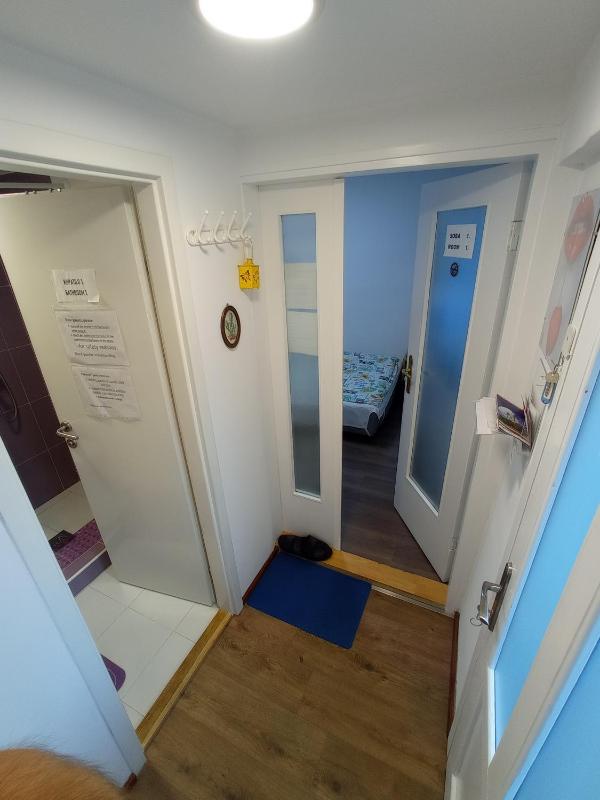 Single Room image 3