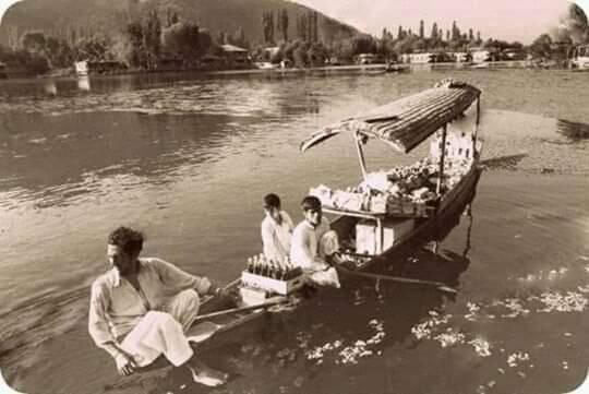 Green view group of houseboats - image 6