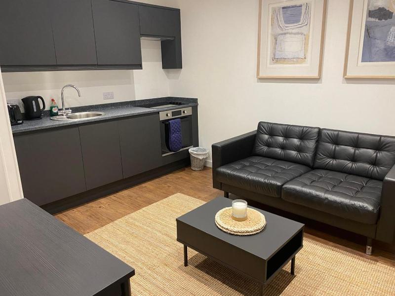 One-Bedroom Apartment image 2