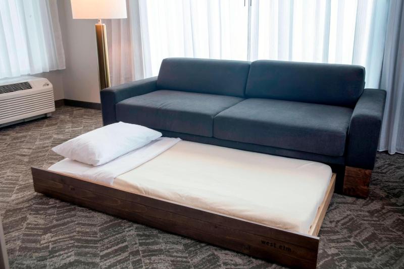 King Studio Suite with Sofa Bed - Hearing Accessible image 4