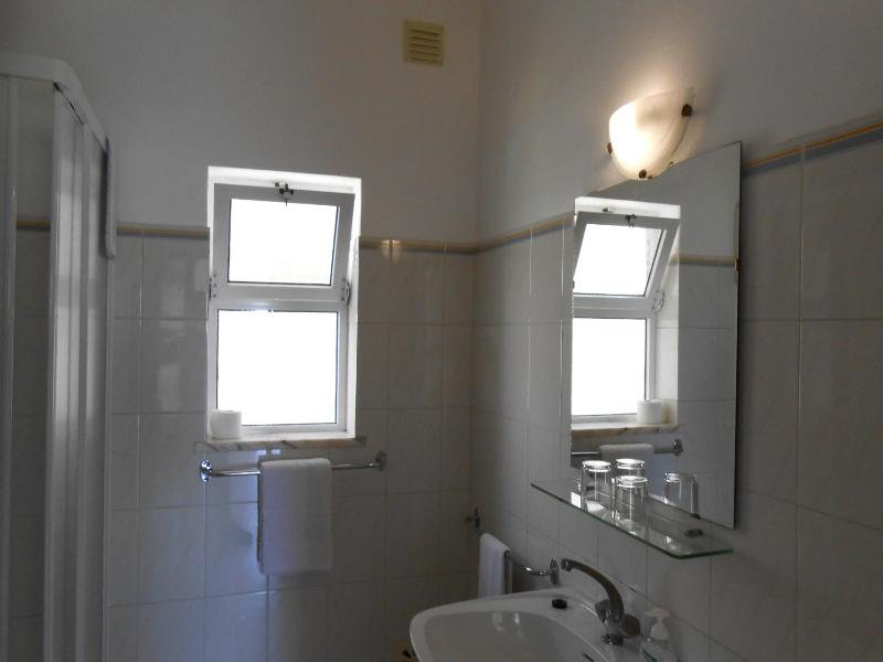 One-Bedroom Apartment image 2