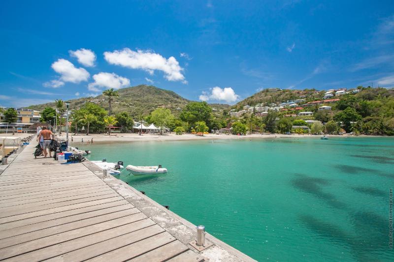 T2 PITAYA Trois-îlets vue mer - image 9