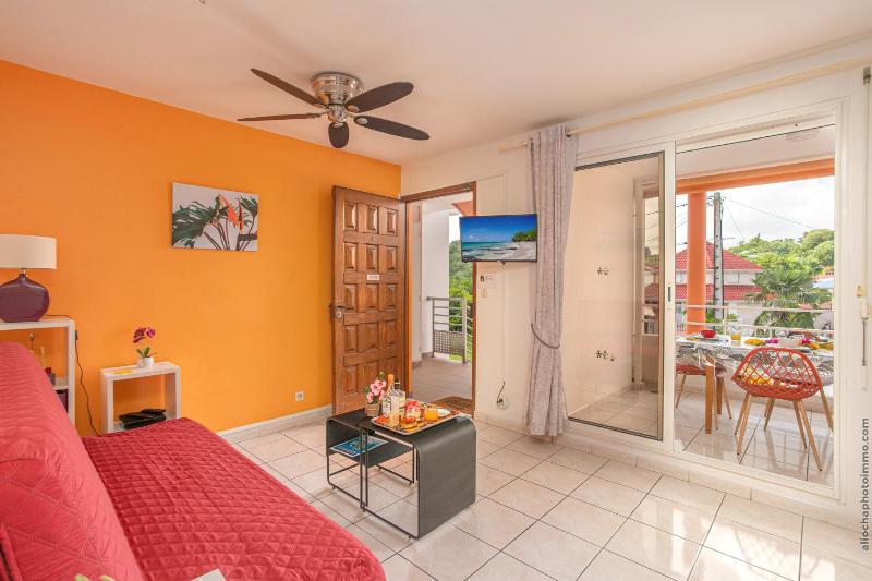 T2 PITAYA Trois-îlets vue mer - image 8