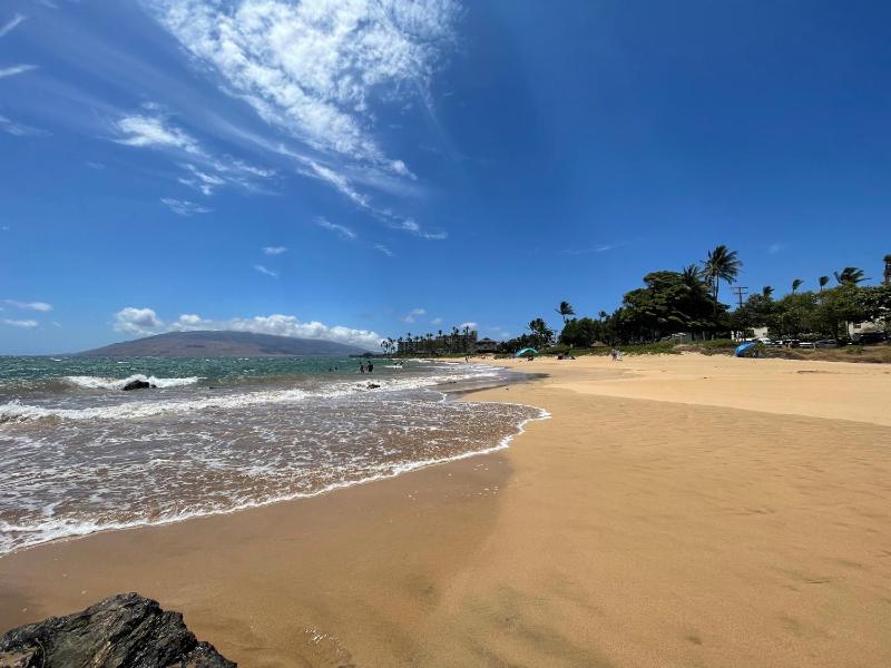 DELUXE PANORAMIC OCEAN VIEW - Dual AC - RENOVATED - FULLY EQUIPPED - SELF MGMT FREE PARKING - image 38