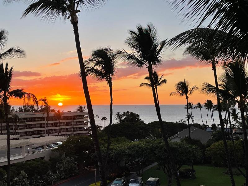 DELUXE PANORAMIC OCEAN VIEW - Dual AC - RENOVATED - FULLY EQUIPPED - SELF MGMT FREE PARKING - image 48