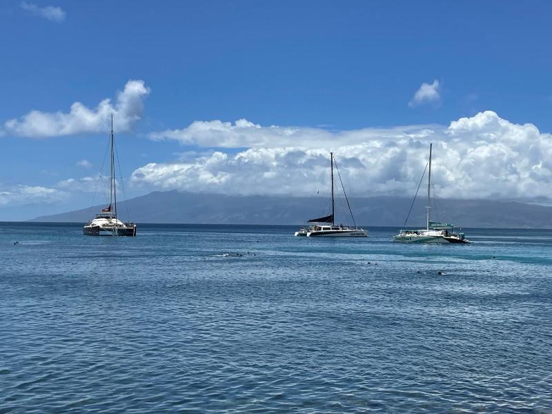 DELUXE PANORAMIC OCEAN VIEW - Dual AC - RENOVATED - FULLY EQUIPPED - SELF MGMT FREE PARKING - image 11
