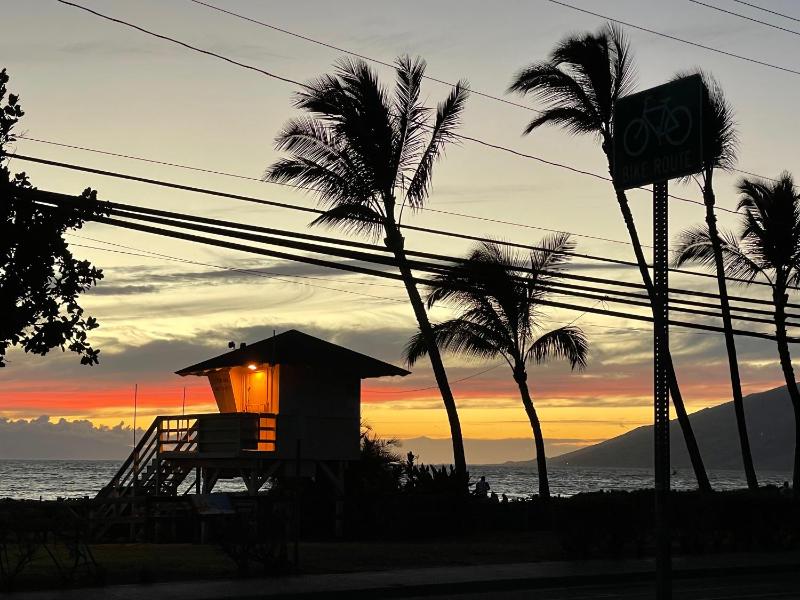 DELUXE PANORAMIC OCEAN VIEW - Dual AC - RENOVATED - FULLY EQUIPPED - SELF MGMT FREE PARKING - image 37
