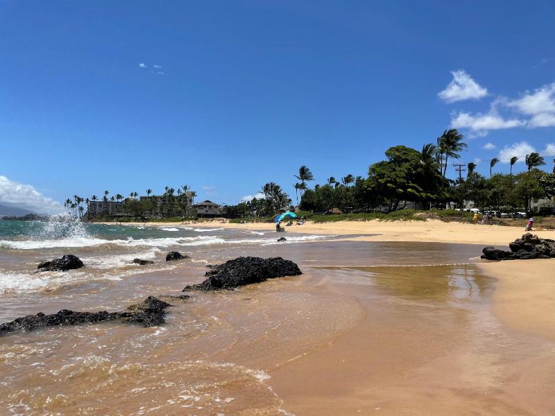DELUXE PANORAMIC OCEAN VIEW - Dual AC - RENOVATED - FULLY EQUIPPED - SELF MGMT FREE PARKING - image 23