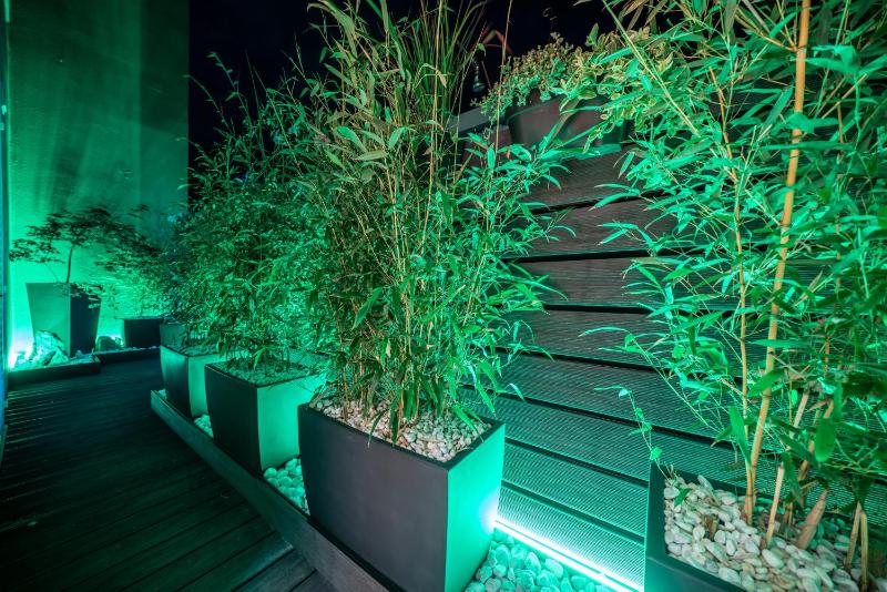 Sea Garden Apartments & Rooms - image 4