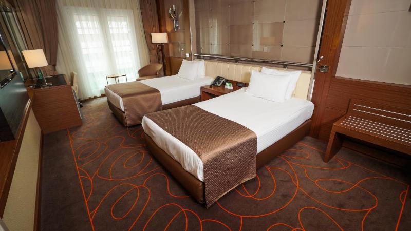 Standard Twin Room image 3