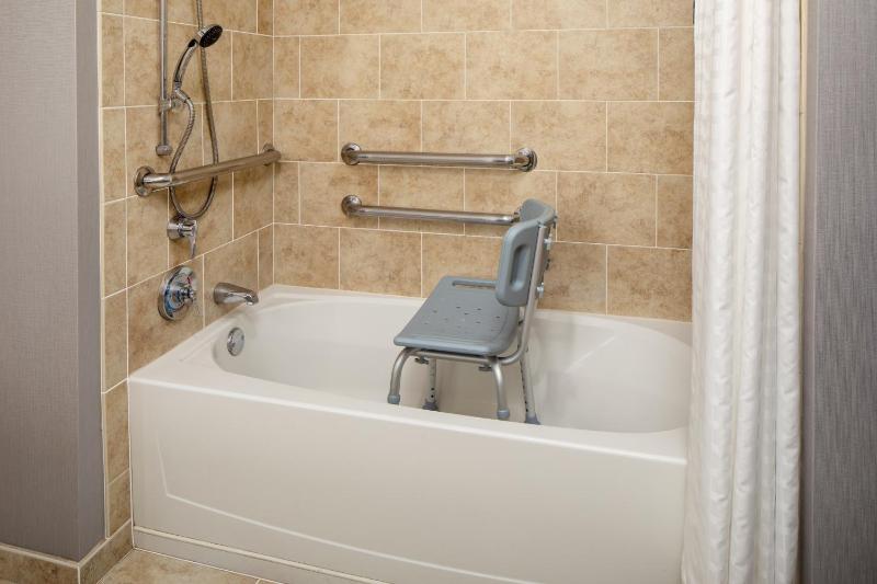 DoubleTree Suites by Hilton Hotel Detroit Downtown - Fort Shelby - image 49