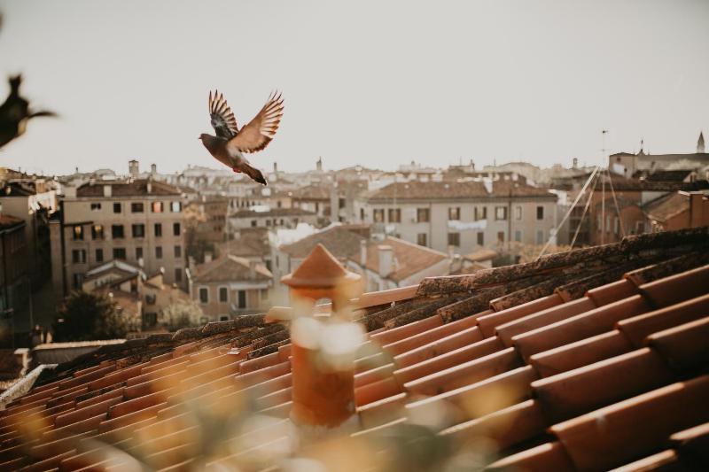 Executive King Suite with Private Terrace image 2