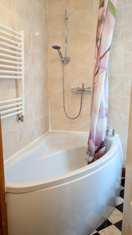 Family Room with Bath image 3