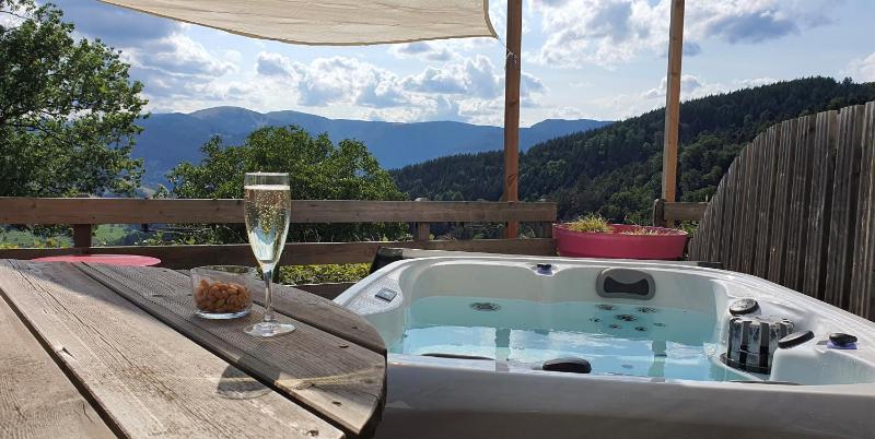 Chambre Double ou lits jumeaux avec terrasse et Jaccuzzi privatif image 3
