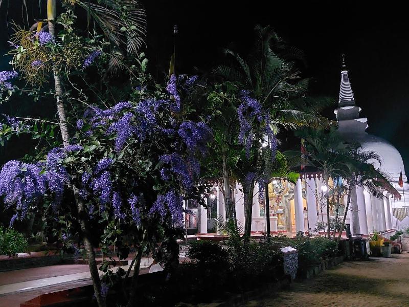 Green Shield Resort - image 14