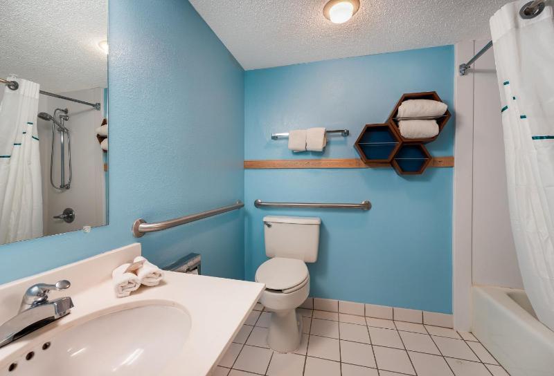 Studio King Room Disability Access Non-Smoking image 2
