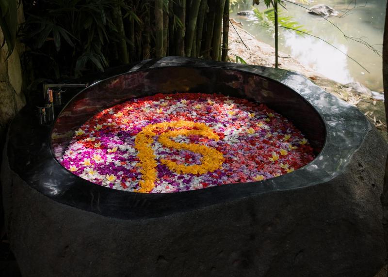 Suenyo Eco Retreat - image 8