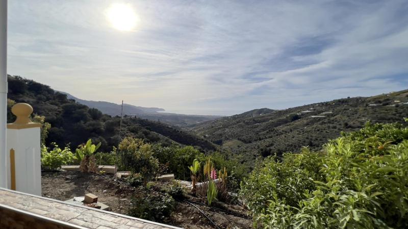 Villa Paco At Home - image 2