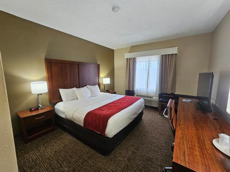 King Room - Non-Smoking image 2