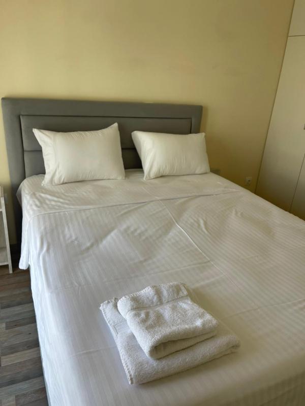 One-Bedroom Apartment image 4