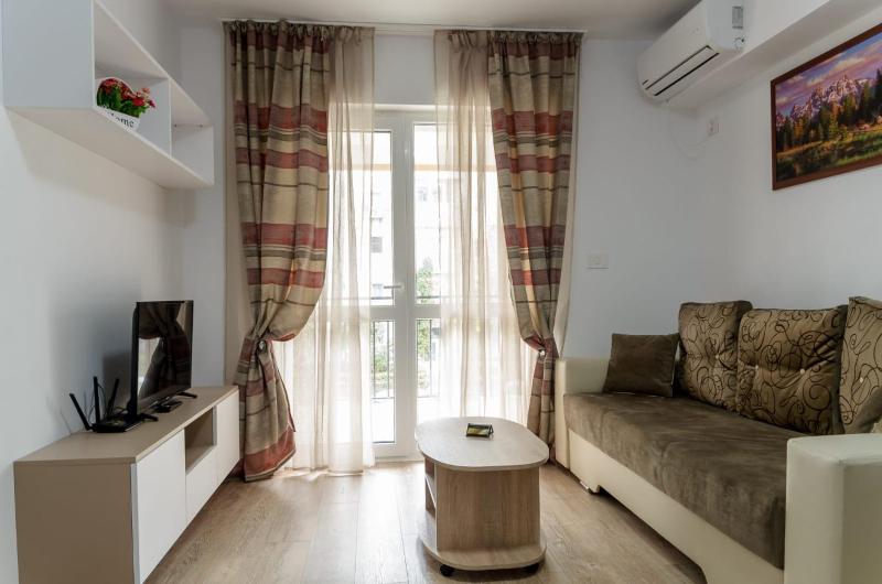 One-Bedroom Apartment image 4
