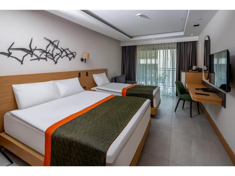 Deluxe Room image 1