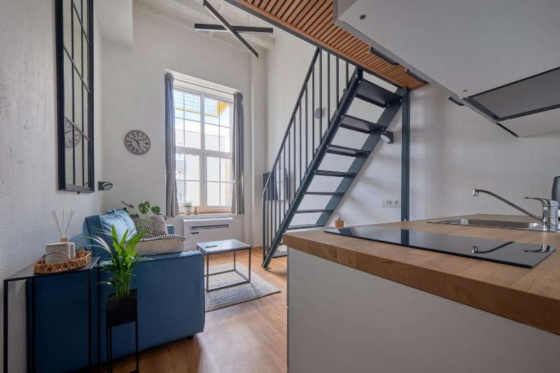 Queen Barbora Central Lofts - image 13