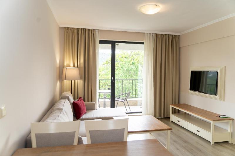 One Bedroom Suite  image 4