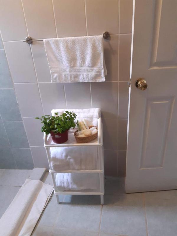 Nice & Cozy Apartment in Guanajuato - free parking - image 16