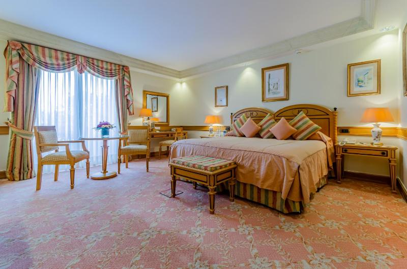 Palace Superior Room image 1