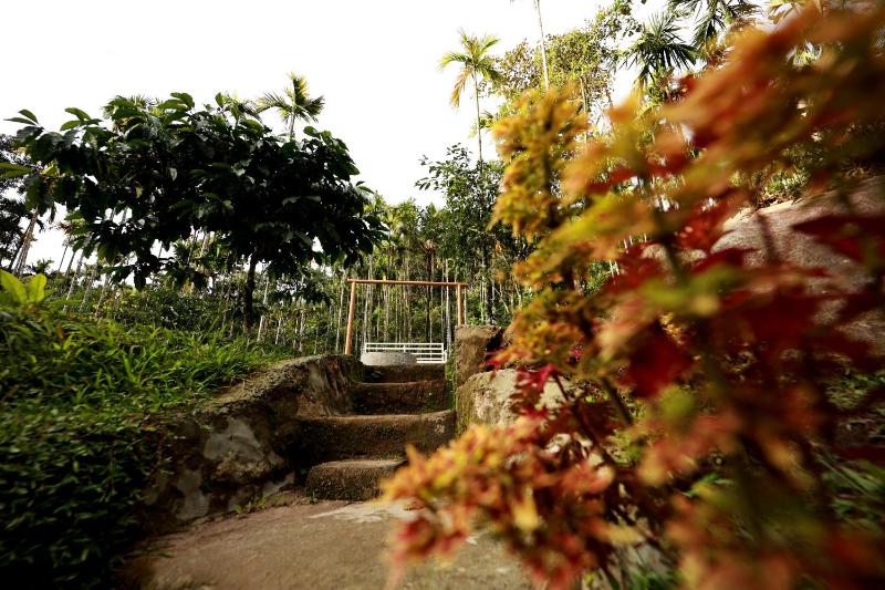 Cave Valley Wayanad - image 2