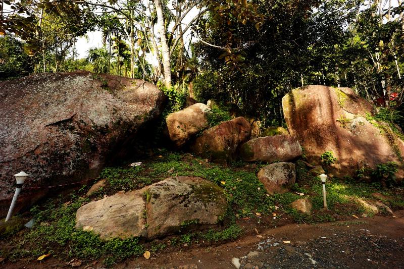 Cave Valley Wayanad - image 37