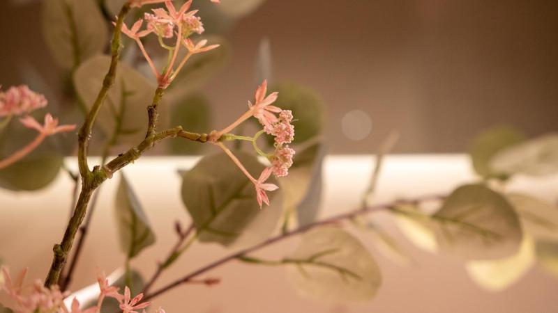 Superior Double Room image 2