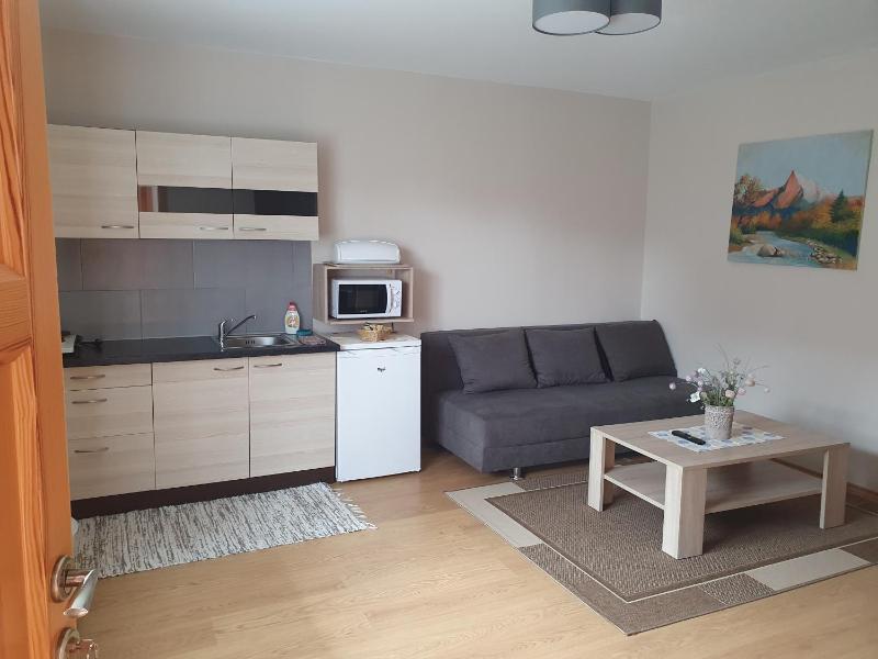 One-Bedroom Apartment image 1