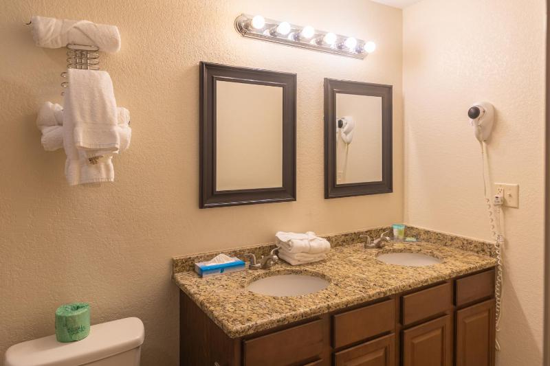 Deluxe King Suite image 3