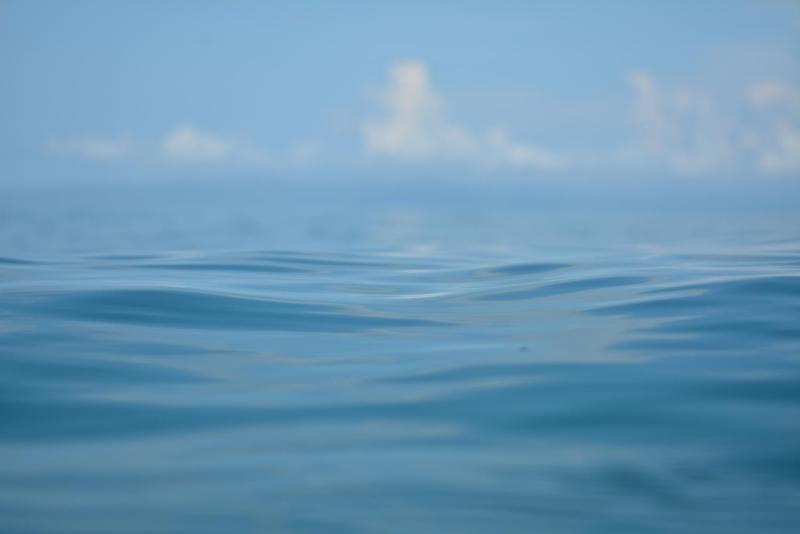 Hotel Swell Pavones - image 4