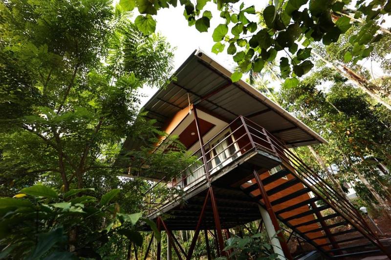 Cave Valley Wayanad - image 23