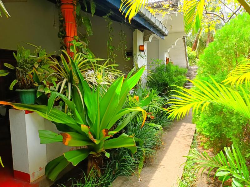 Pranu House - image 29