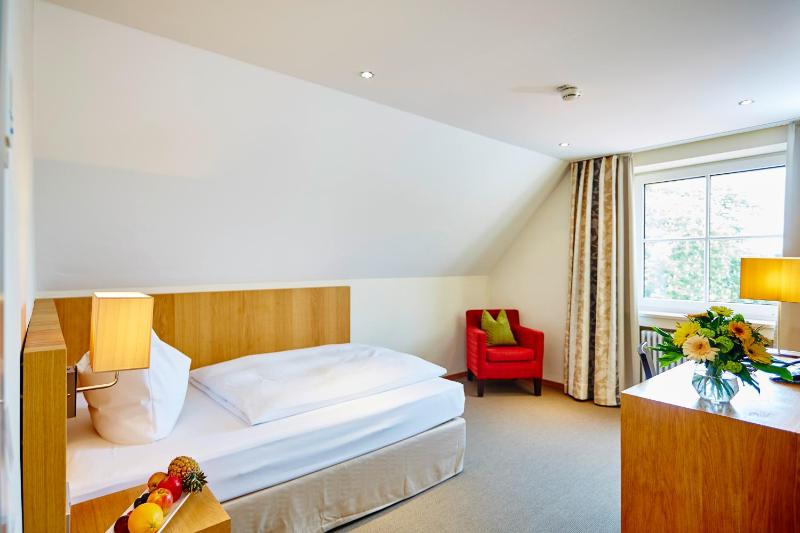 Superior Single Room image 2
