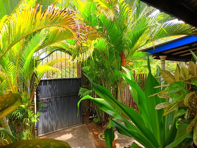 Pranu House - image 40