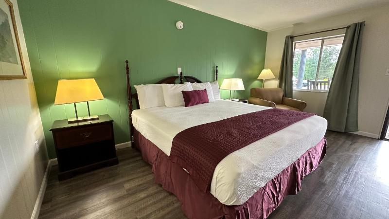 Deluxe King Room image 2