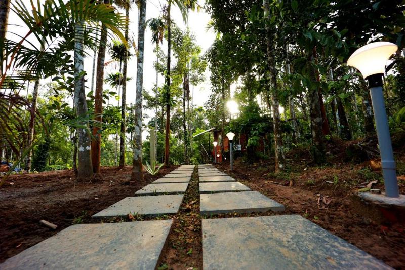 Cave Valley Wayanad - image 30