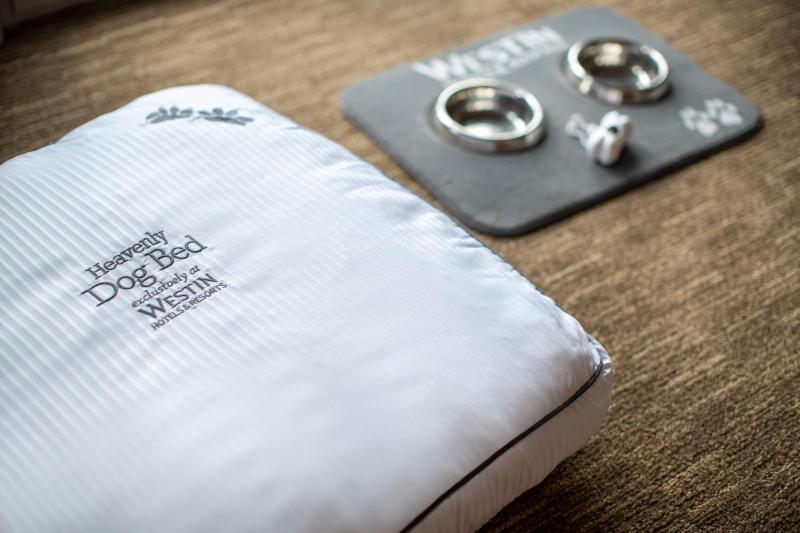 Deluxe, Larger Guest room, 1 King image 2