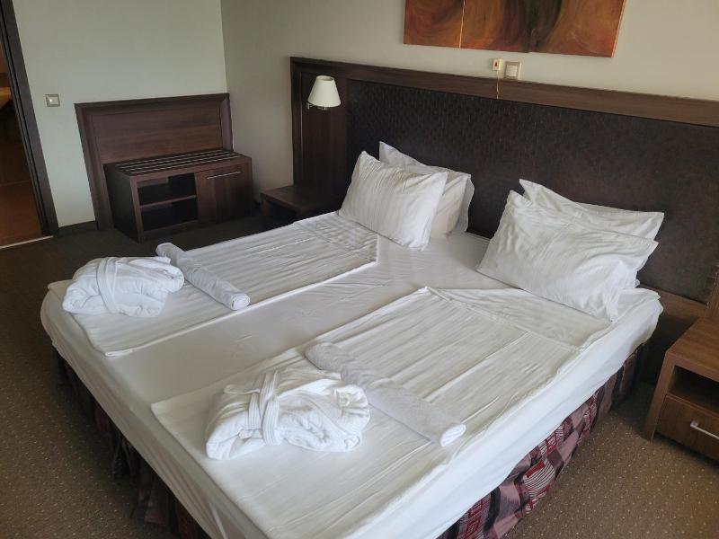 One-Bedroom Suite with Balcony image 4