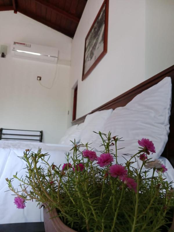 Home Stay Resort - image 6