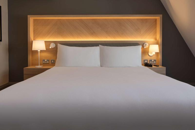 Deluxe King Room image 4