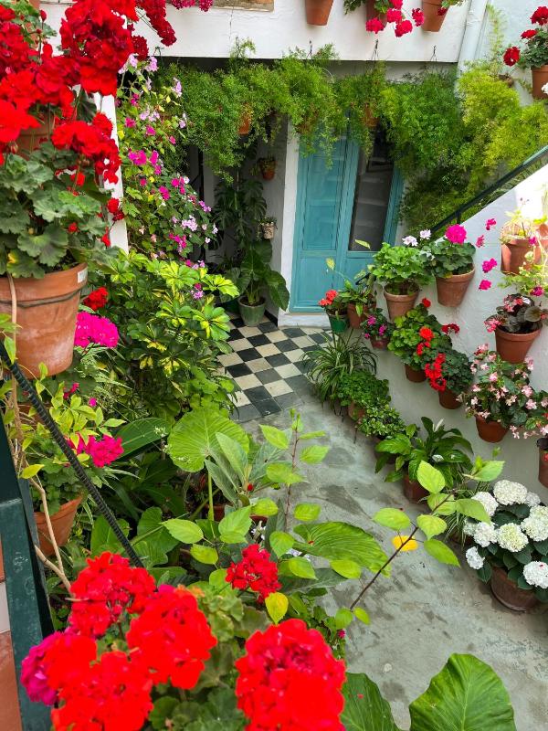 Apartamento la muralla - image 4