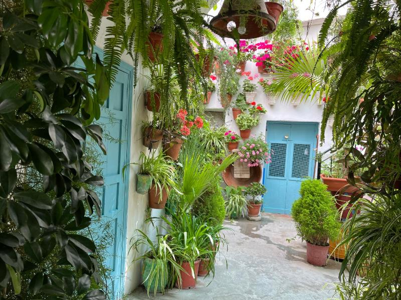 Apartamento la muralla - image 14