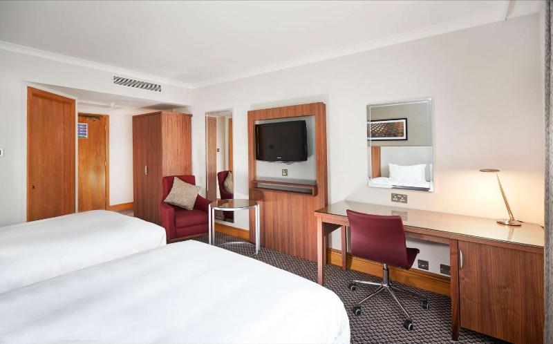 Deluxe Twin Room image 3