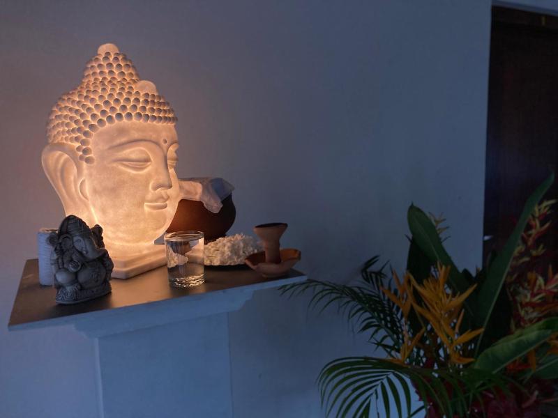 The Calm Palm - image 16